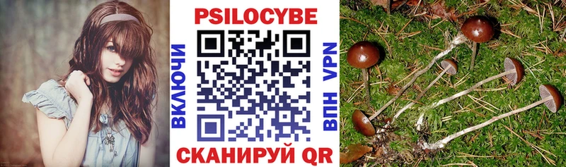 Псилоцибиновые грибы мицелий дарнет шоп Калининград