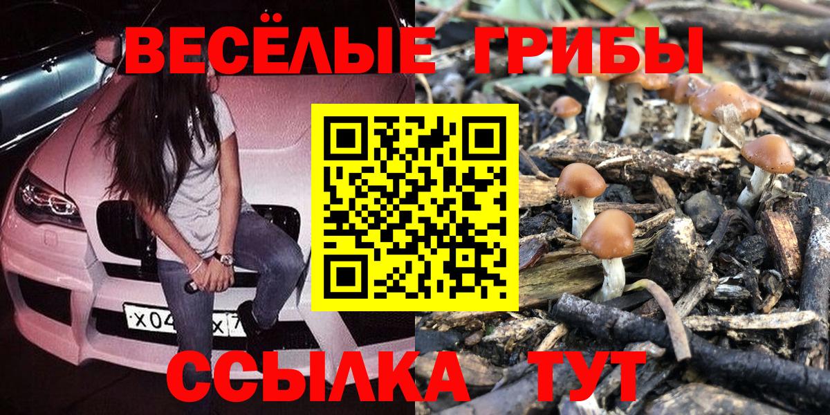 Галлюциногенные грибы мухоморы  Калининград 