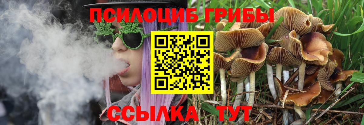 Галлюциногенные грибы GOLDEN TEACHER  Вход с VPN  Калининград 