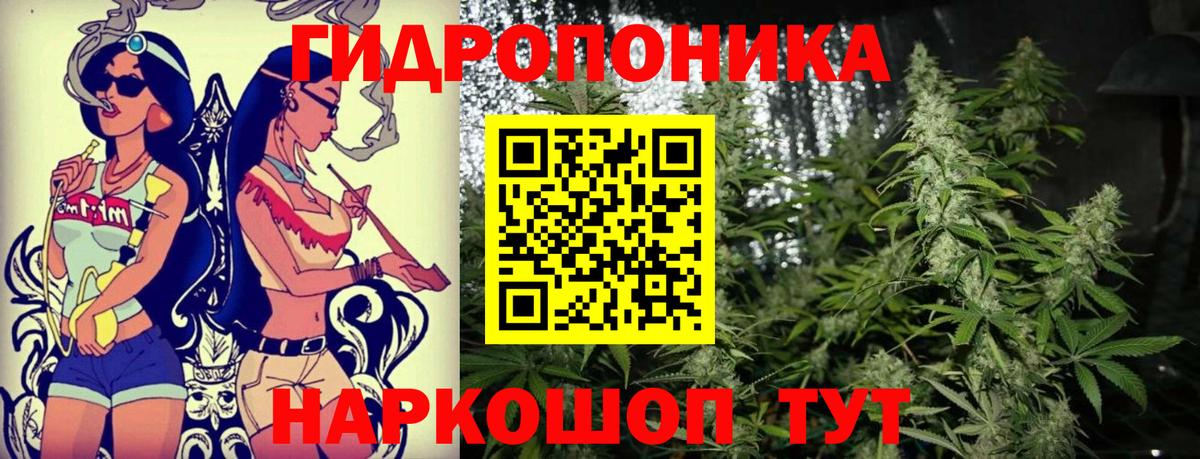 Бошки марихуана SATIVA & INDICA Калининград